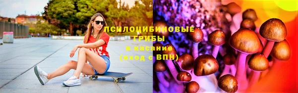 марки lsd Богданович