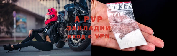 дживик Богородицк