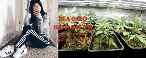 дживик Богородицк