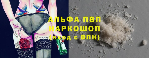 дживик Богородицк