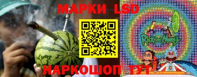 mdpv Славгород