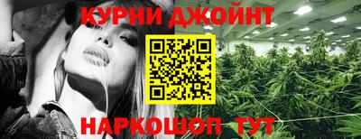 трава Славянск-на-Кубани
