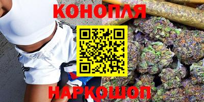 гашик Можга