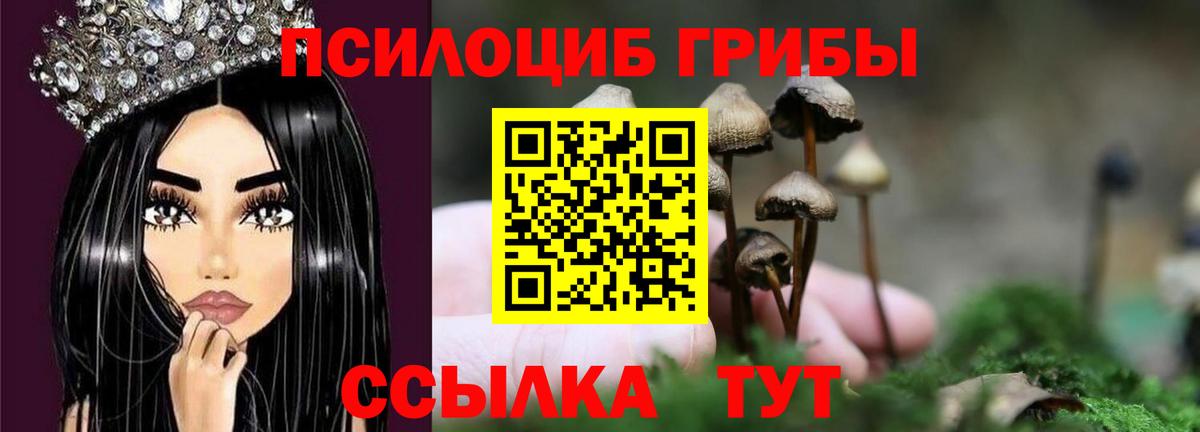 Псилоцибиновые грибы мухоморы  Псилоцибиновые грибы Psilocybe  Вход с VPN  Северск 